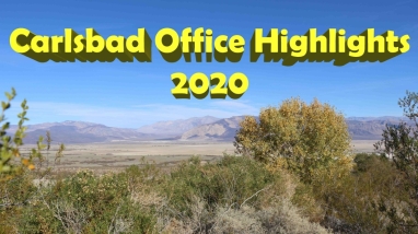 landscape of a field surrounded by brush and trees