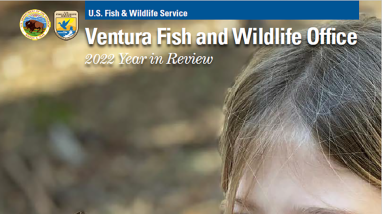 A girl admiring a monarch butterfly that is perched on a branch