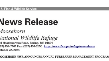 Image of News Release Cover Page with Title