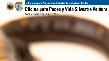 Una salamandra marrón con manchas amarillas por todo su cuerpo sobre un fondo blanco. Foto cortesía de Joel Sartore/National Geographic