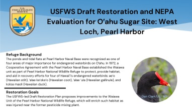 A fact sheet that shows quick facts