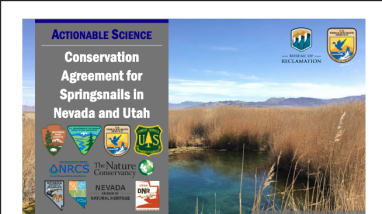 first page of handout