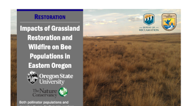 first page of handout