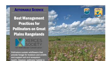 first page of handout