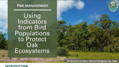 first page of case study handout