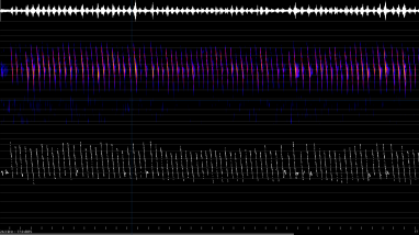 acoustic call signature image