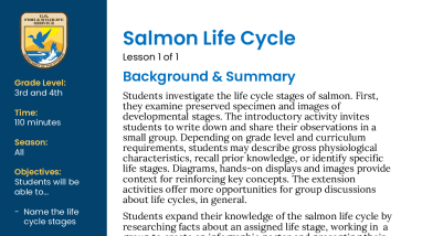 Salmon Life Cycle Lesson Plan_Components