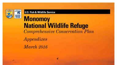 MNY_Appendix_Entire_(10MB).pdf