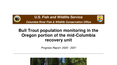 Bull Trout population monitoring in the Oregon portion of the mid-Columbia recovery unit Progress Report: 2020 - 2021
