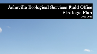 Asheville Ecological Services Field Office Strategic Plan, 2023-2028
