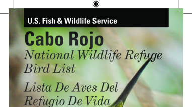 Cabo Rojo NWR Bird List (Eng/Spa)