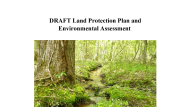 Draft Land Protection Plan and Environmental Assessment - Establishment of a new Southern Maryland Woodlands National Wildlife Refuge
