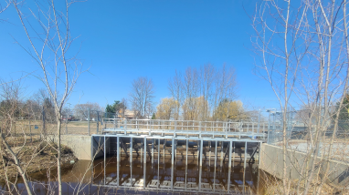 LCFWCO - SLC - Morpion 2023