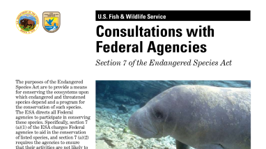 Consultations with federal agencies: Section 7 of the Endangered Species Act