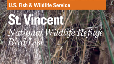 St. Vincent Bird List