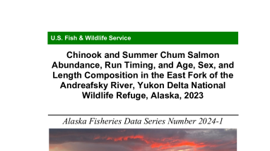 2024-1. Chinook and Summer Chum Salmon Abundance, Run Timing, and Age, Sex, and Length Composition in the East Fork of the Andreafsky River, Yukon Delta National Wildlife Refuge, Alaska, 2023