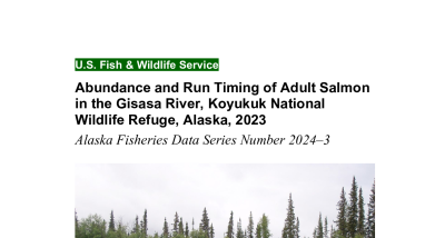 Abundance and Run Timing of Adult Salmon in the Gisasa River, Koyukuk National Wildlife Refuge, Alaska, 2023: Alaska Fisheries Data Series Number 2024-3