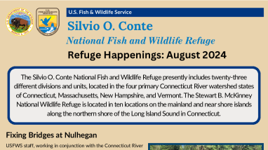 August 2024 Conte Refuge Happenings