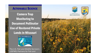 Camera Trap Monitoring Handout