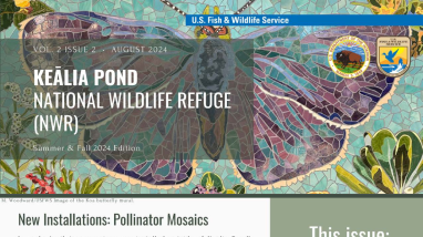 Keālia Pond National Wildlife Refuge Summer & Fall Newsletter