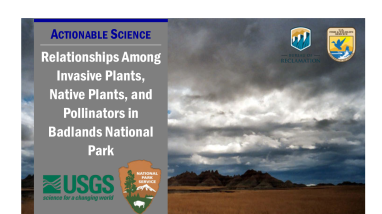 Relationships Among Invasives Handout