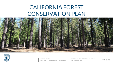 CFCP Virtual Briefing: PowerPoint Slides