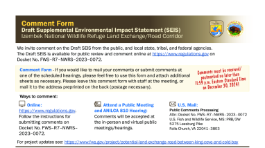 Izembek NWR Land Exchange/Road Corridor Draft SEIS Comment Form