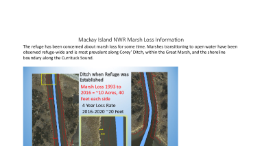 Mackay Island National Wildlife Refuge Marsh Loss Information