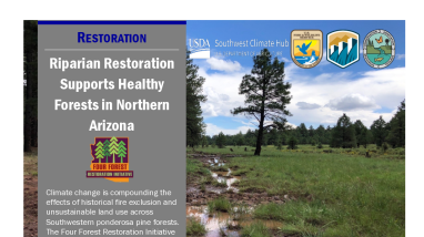 Riparian Restoration Supports Healthy Forests Handout
