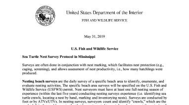 2019 MS Sea Turtle Nest Survey Protocol