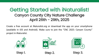 City Nature Challenge iNaturalist Guide - English and Spanish