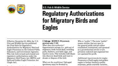 Regulatory Authorizations for Migratory Birds and Eagles