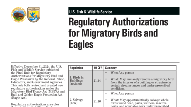 Summary of Regulatory Authorizations for Migratory Birds and Eagles
