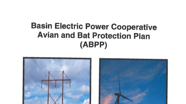 Avian and Bat Protection Plan