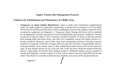 Gopher Tortoise BMPs