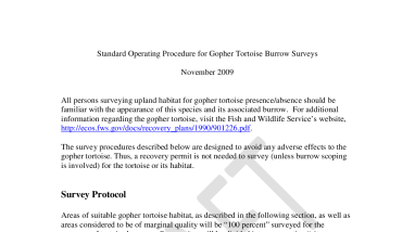 Gopher Tortoise Burrow Survey Protocol