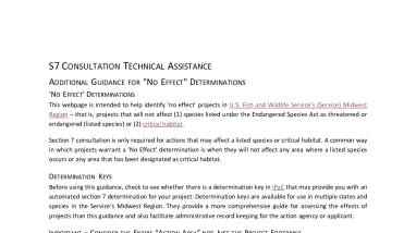 Additional Guidance for "No Effect" Determinations