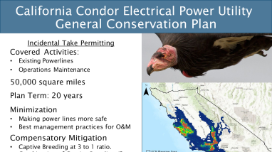 2025 Spring Tribal Coordination Meeting - California Condor Electrical Power Utility GCP