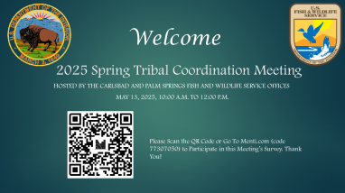 2025 Spring Tribal Coordination Meeting - facilitator slides