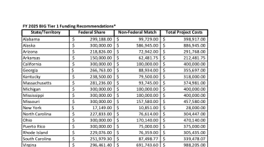 FY 2025 BIG Tier 1 Funding by State