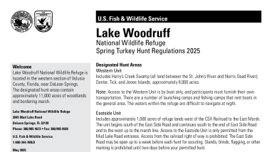 Lake Woodruff Turkey Hunt Regulations