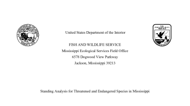 MSFO Dkey_Standing_Analysis_May 2025