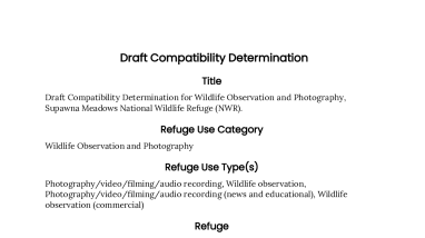 Draft Compatibility Determination for Wildlife Observation and Photography at Supawna Meadows NWR