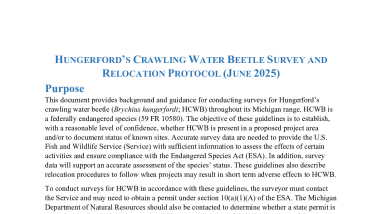 Hungerford's Crawling Water Beetle Survey and Relocation Protocol