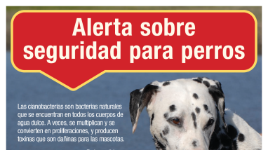 Alerta de Seguridad Para Perros - Algas Verdeazuladas
