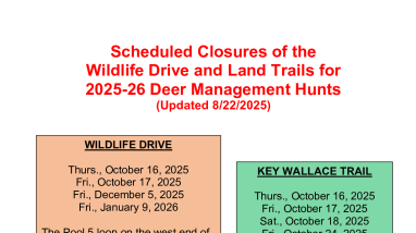 Blackwater NWR Hunt Closures 2025-26