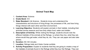 Animal Track Map (4-6)