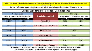 Current Wait Times_October - December 2025.pdf