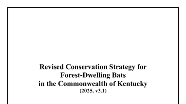 Revised Conservation Strategy for Forest-Dwelling Bats in the Commonwealth of Kentucky