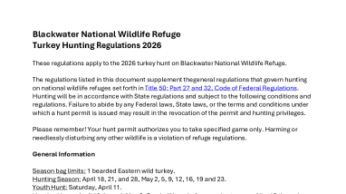 Blackwater NWR 2026 Turkey Hunt Information